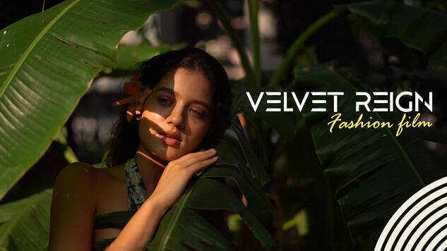 Velvet Reign - Soft Bloom